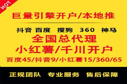 某知名品牌SEM广告投放的创意与执行